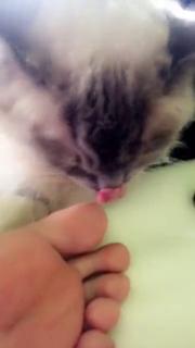 Valentina Vignali feet photo thumbnail