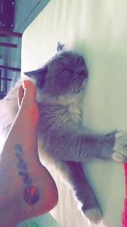 Valentina Vignali feet photo thumbnail