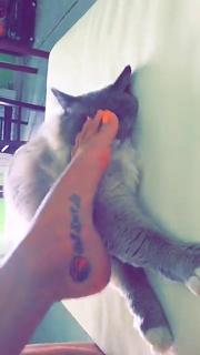 Valentina Vignali feet photo thumbnail