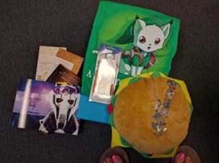 Elyse Willems feet photo 5