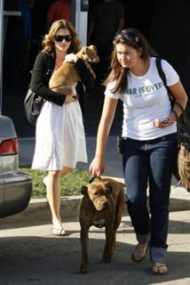 Jessica Biel feet photo thumbnail
