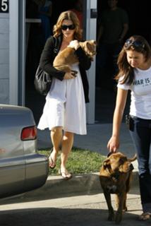 Jessica Biel feet photo thumbnail