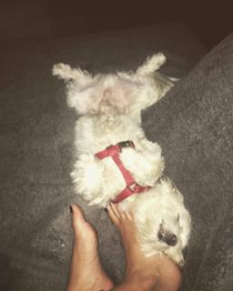 Emily Osment feet photo thumbnail