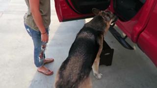 Brittney Smith feet photo thumbnail