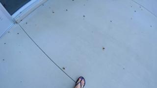 Justine Ezarik feet photo thumbnail