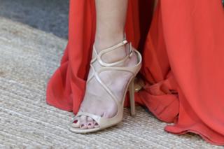 Elisabetta Gregoraci feet photo thumbnail