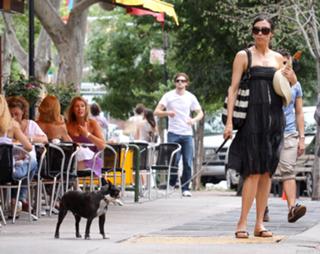 Famke Janssen feet photo thumbnail