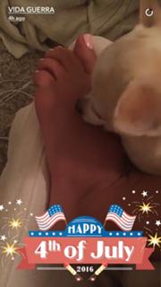 Vida Guerra feet photo thumbnail