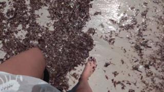 Justine Ezarik feet photo thumbnail
