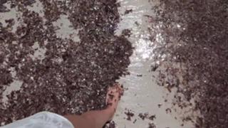 Justine Ezarik feet photo thumbnail