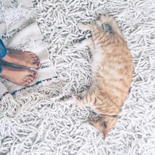 Ashley Madekwe feet photo thumbnail