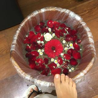 Isis Valverde feet photo thumbnail