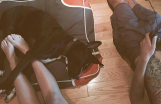 Emily Osment feet photo thumbnail