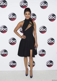 Priyanka Chopra Jonas feet photo thumbnail