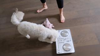 Justine Ezarik feet photo thumbnail