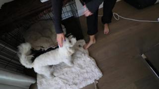 Jenna Ezarik feet photo thumbnail
