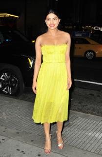 Priyanka Chopra Jonas feet photo thumbnail