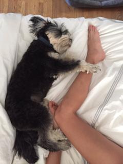 Jamie Chung feet photo thumbnail