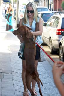 Kristen Bell feet photo thumbnail