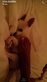 Vida Guerra feet photo thumbnail