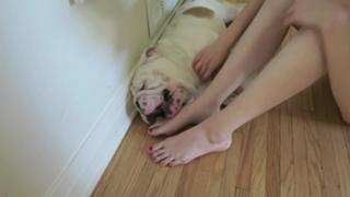 Brittani Taylor feet photo thumbnail
