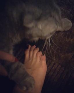 Olga Seryabkina feet photo thumbnail