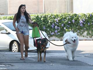 Ariel Winter feet photo thumbnail