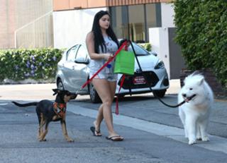 Ariel Winter feet photo thumbnail