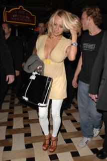 Pamela Anderson feet photo thumbnail