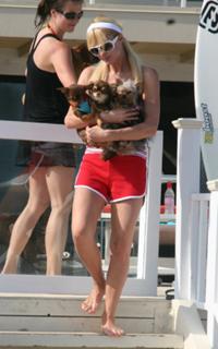 Paris Hilton feet photo thumbnail