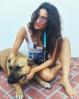 Shay Mitchell feet photo thumbnail