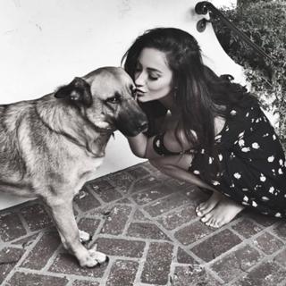 Shay Mitchell feet photo thumbnail
