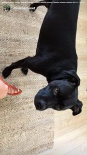 Daniella Monet feet photo thumbnail