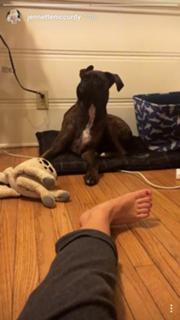 Jennette McCurdy feet photo thumbnail