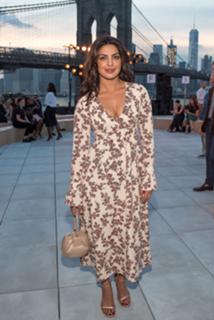 Priyanka Chopra Jonas feet photo thumbnail