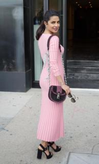 Priyanka Chopra Jonas feet photo thumbnail