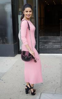 Priyanka Chopra Jonas feet photo thumbnail