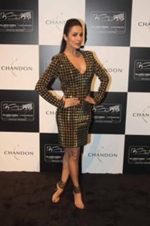 Malaika Arora feet photo thumbnail