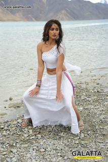 Ileana D'Cruz feet photo thumbnail