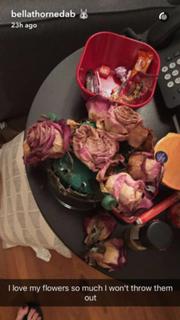 Bella Thorne feet photo thumbnail