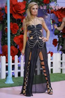 Paris Hilton feet photo thumbnail