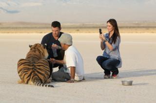 Megan Fox feet photo thumbnail