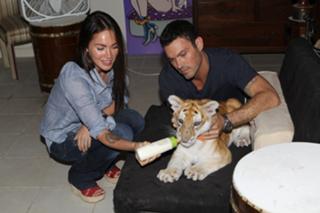 Megan Fox feet photo thumbnail