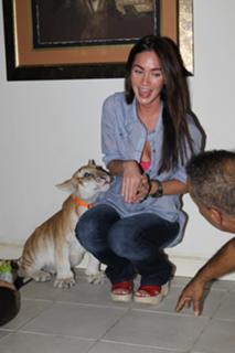 Megan Fox feet photo thumbnail
