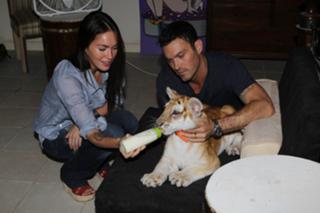 Megan Fox feet photo thumbnail