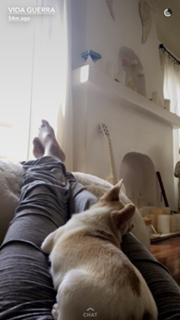 Vida Guerra feet photo thumbnail