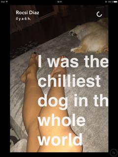 Rocsi Diaz feet photo thumbnail