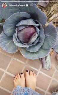 Lívia Andrade feet photo thumbnail