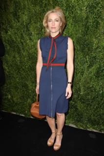 Gillian Anderson feet photo thumbnail