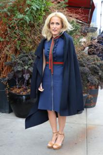 Gillian Anderson feet photo thumbnail